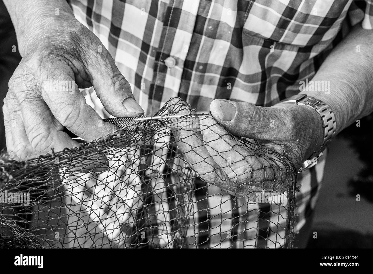 Gros plan sur les mains texturées d'un vieux pêcheur qui se trouvent sur un filet de pêche. Noir et blanc Banque D'Images