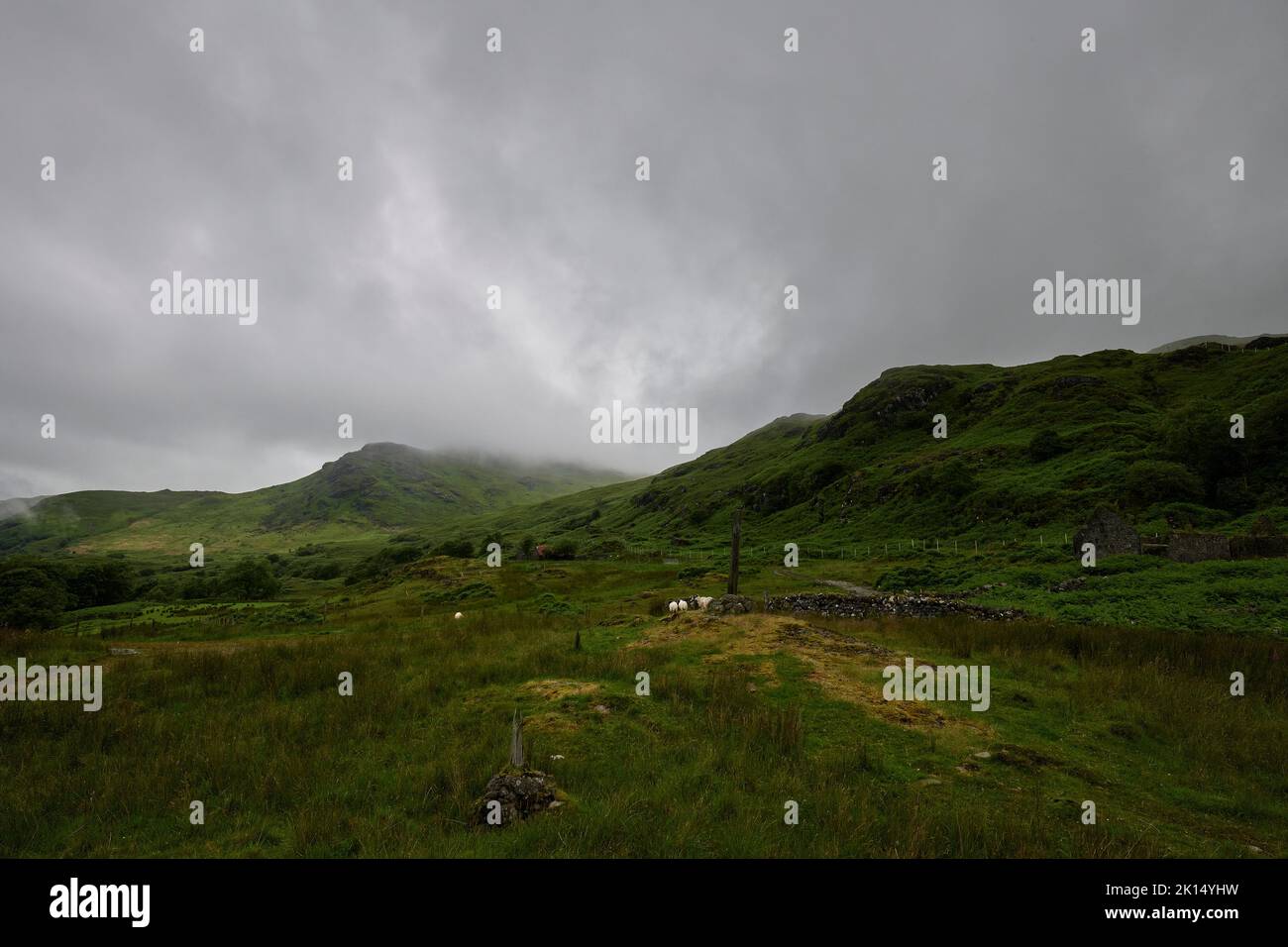 Loch Buie, Isle of Mull, Scotland Banque D'Images