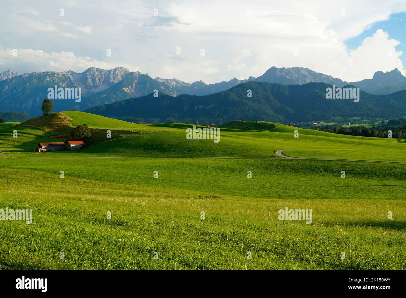 Des prairies alpines pittoresques, ensoleillées et verdoyantes de la région d'Allgaeu en Bavière avec les Alpes en arrière-plan Banque D'Images