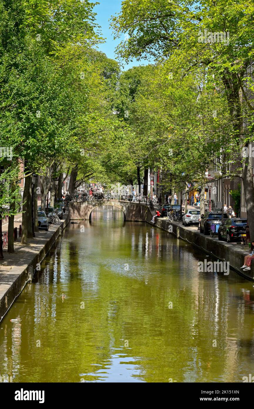 Amsterdam, pays-Bas - août 2022 : vue panoramique sur l'un des canaux de la ville avec feuillage d'été sur les arbres Banque D'Images