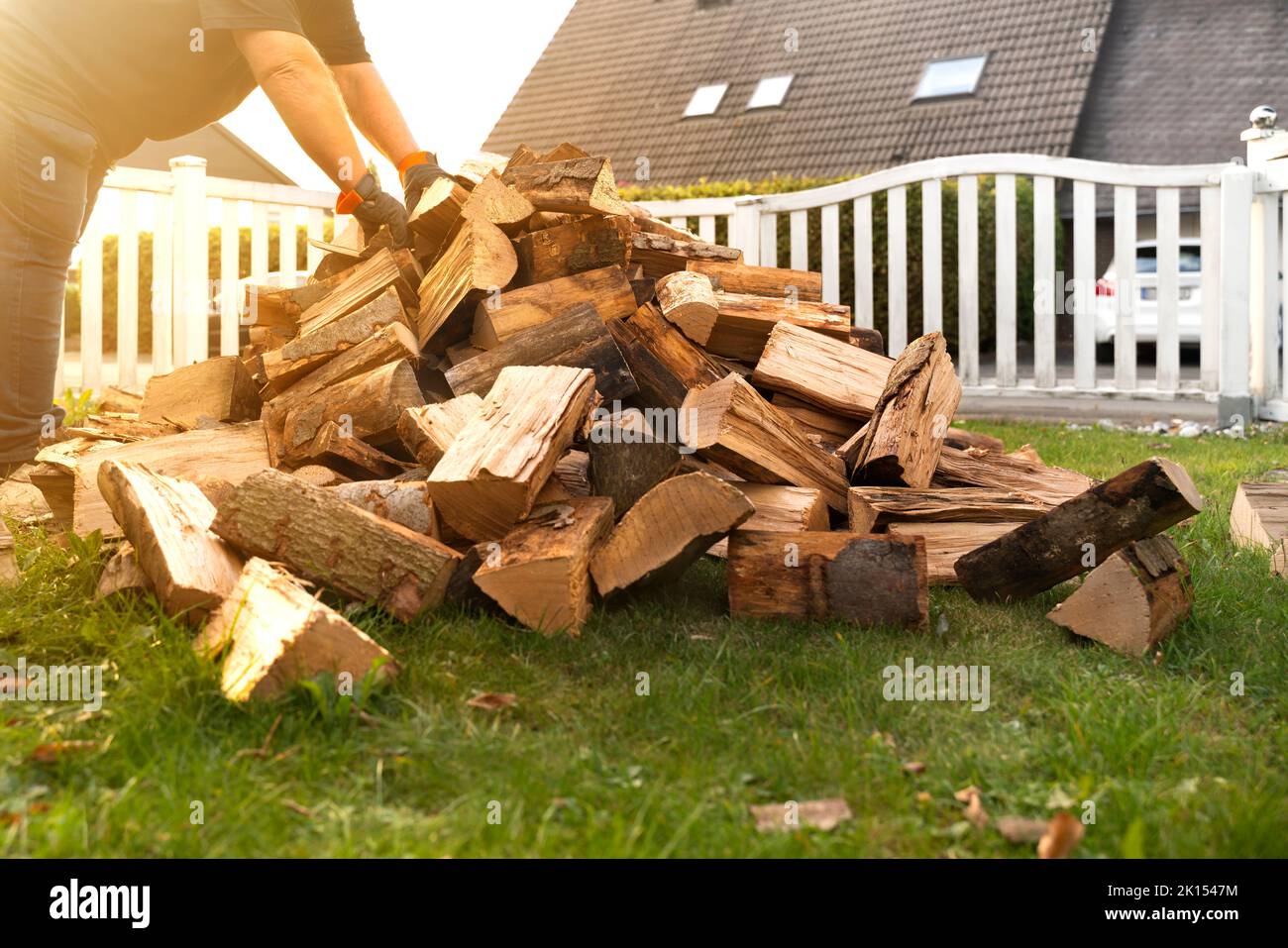 Dans le jardin se trouve une pile de bois de hêtre qui ont été livrés. Un homme se plie et soulève une armue de grumes pour le prendre à la tablette de bois de chauffage. Réglage Banque D'Images Dans le jardin se trouve une pile de bois de hêtre qui ont été livrés. Un homme se plie et soulève une armue de grumes pour le prendre à la tablette de bois de chauffage. Réglage Banque D'Images