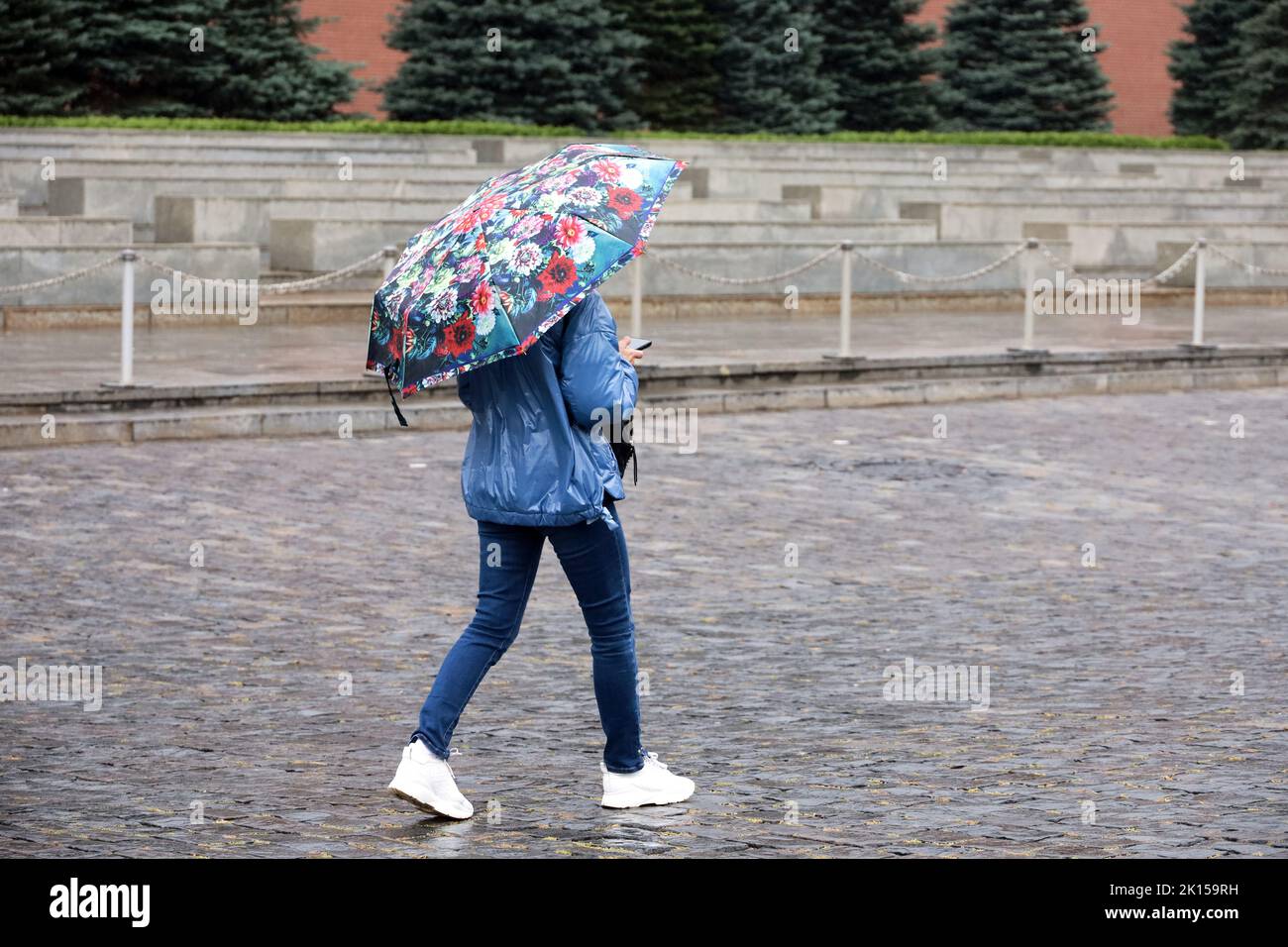Pluie en ville, femme en Jean et veste marche avec parapluie et smartphone dans une rue. Temps pluvieux en automne Banque D'Images