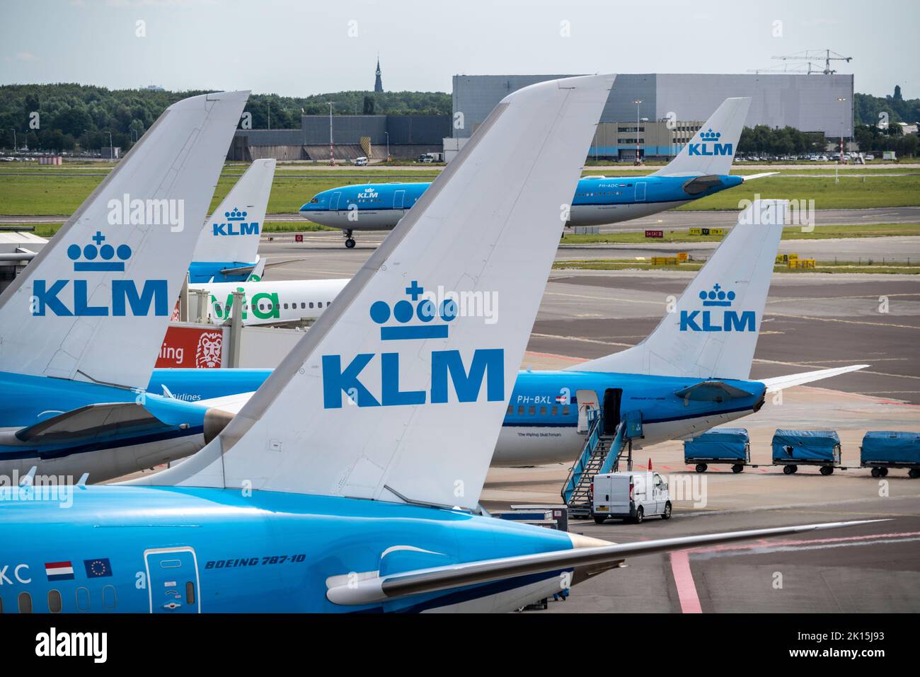 Aéroport d'Amsterdam Schiphol, avion au terminal, portes D, enregistrement, tablier, Amsterdam, pays-Bas Banque D'Images