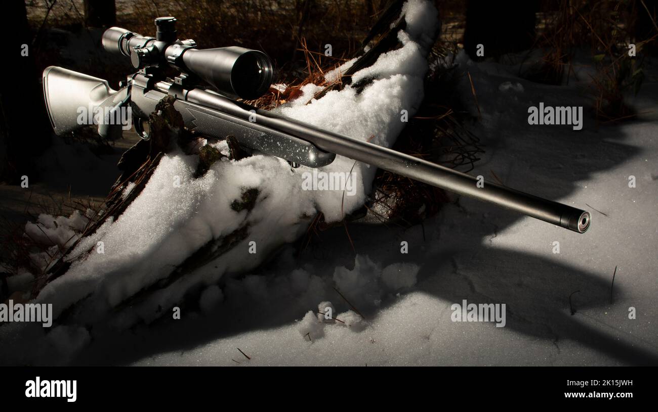 Fusil d'action à boulon noir sur une bûche enneigée dans une forêt d'hiver Banque D'Images