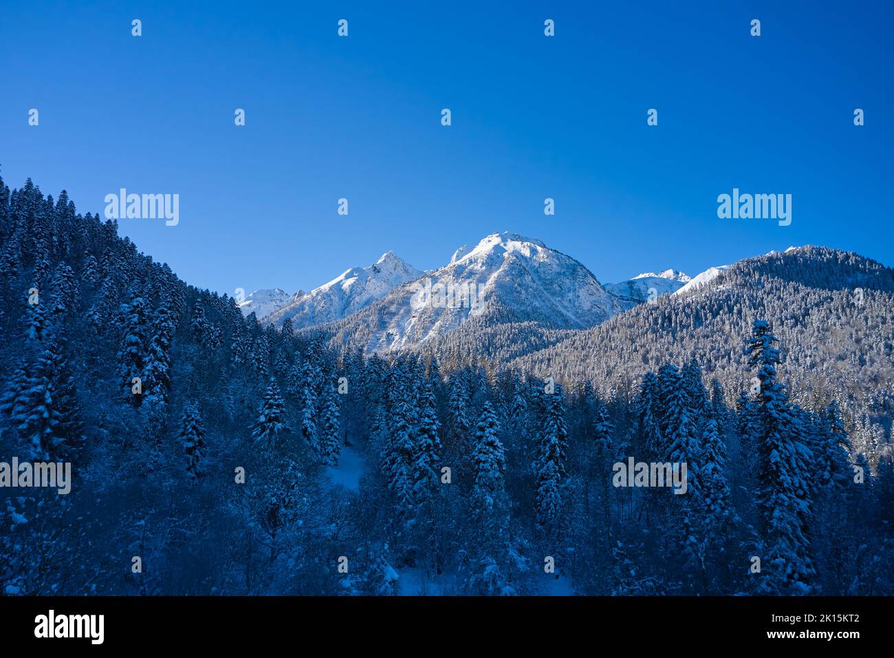 Pic de montagne en hiver et sapins enneigés. Banque D'Images