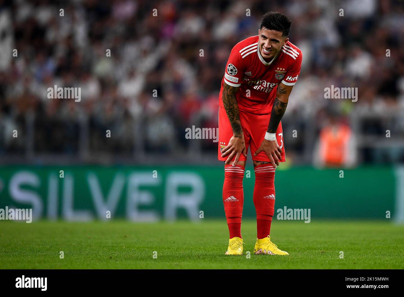 Turin, Italie. 14 septembre 2022. Enzo Fernandez de SL Benfica semble abattu lors du match de football de la Ligue des champions de l'UEFA entre Juventus FC et SL Benfica. Credit: Nicolò Campo/Alay Live News Banque D'Images