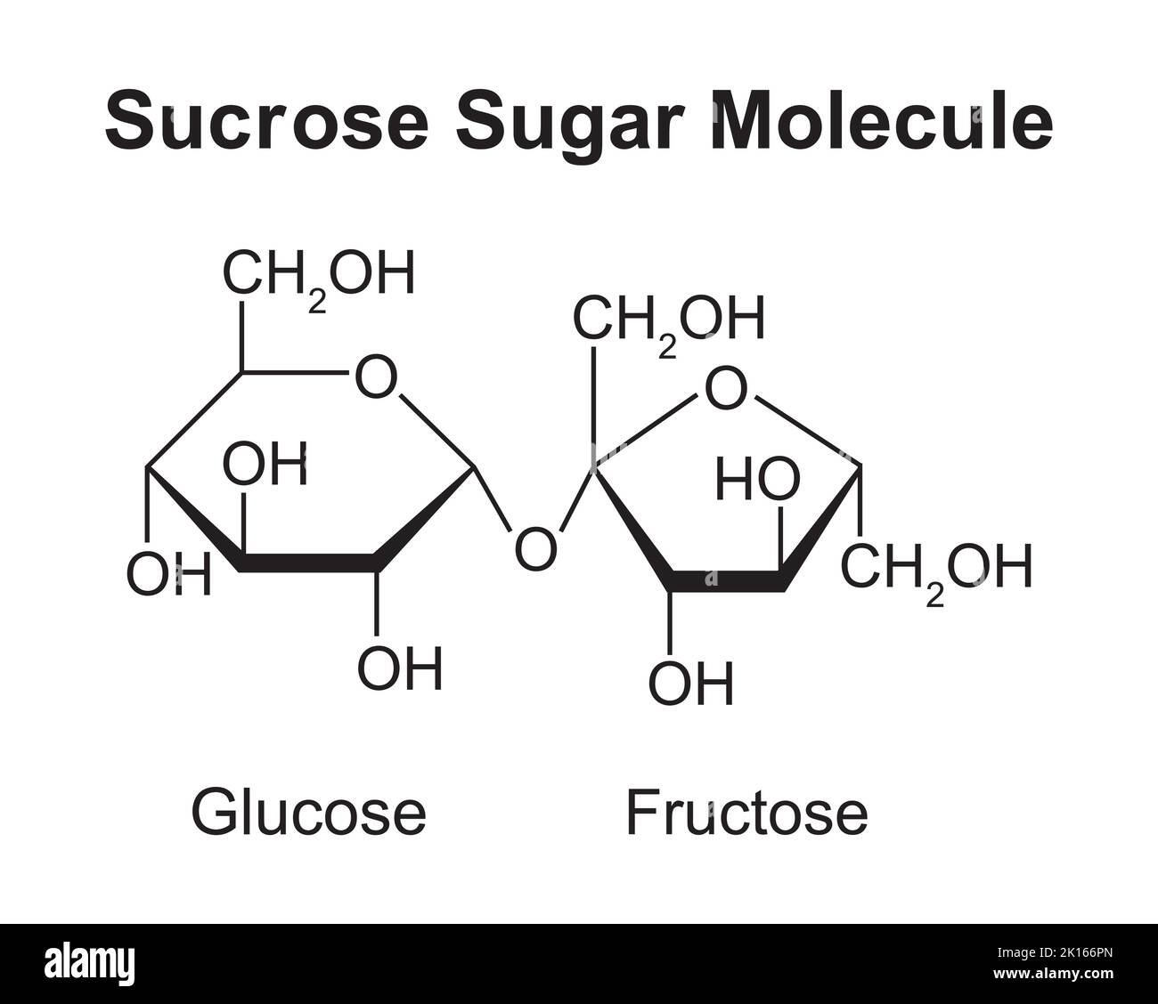 Sucrose molécule de sucre. Glucose et fructose. Illustration vectorielle. Illustration de Vecteur