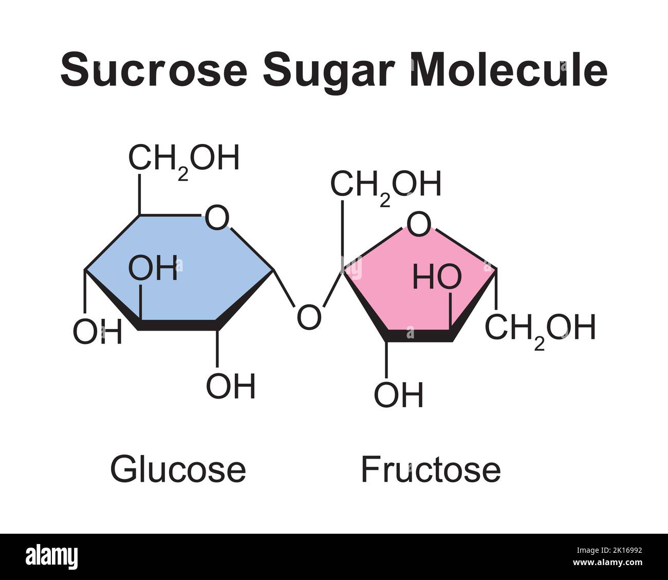Sucrose molécule de sucre. Glucose et fructose. Illustration vectorielle. Illustration de Vecteur
