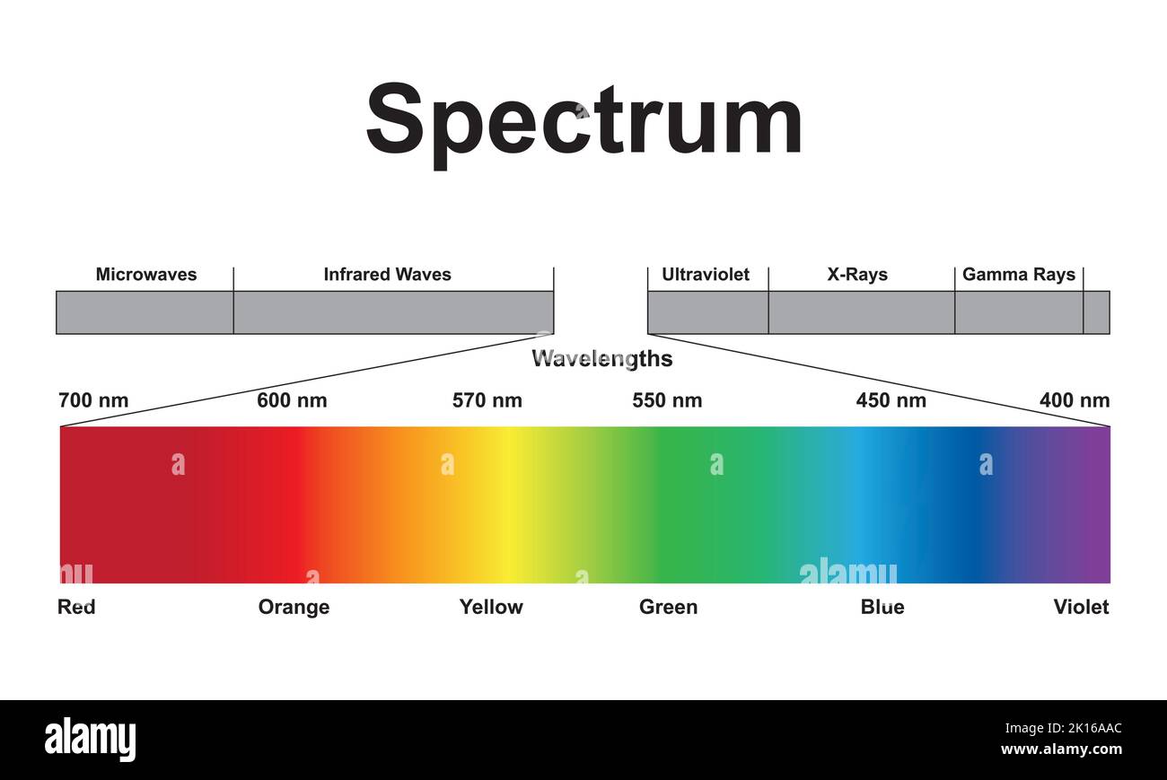 Conception scientifique du spectre des ondes électromagnétiques. Le spectre de lumière. Symboles colorés. Illustration vectorielle. Illustration de Vecteur