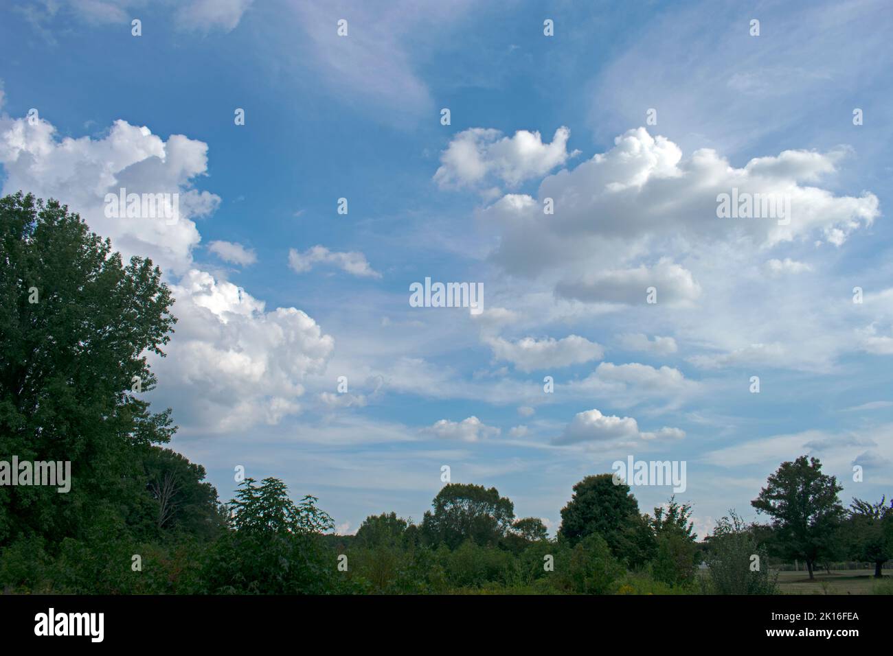 Magnifiques cumulus et cirrus contre un ciel bleu profond, au parc Davidson's Mill Pond Park dans l'est du Brunswick, New Jersey, USA -03 Banque D'Images
