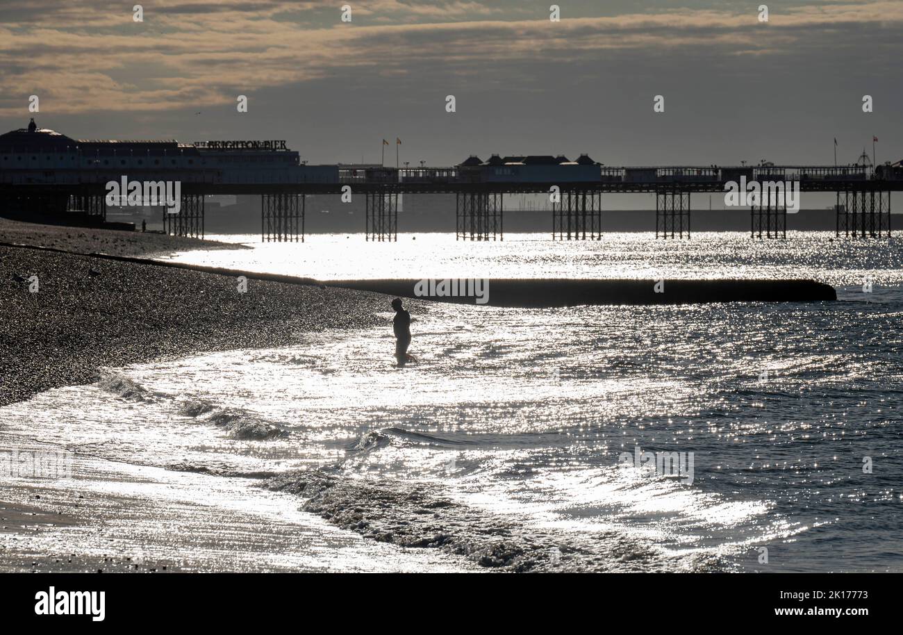 Brighton Royaume-Uni 16th septembre 2022 - les nageurs du matin profitent d'un plongeon à Brighton lors d'une journée ensoleillée mais fraîche comme les températures devraient baisser au cours des prochains jours au Royaume-Uni : Credit Simon Dack / Alay Live News Banque D'Images