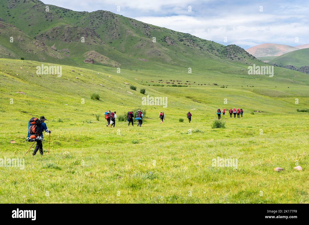 Vue arrière de groupe de touristes marchant avec de grands sacs à dos dans la montagne valey Banque D'Images