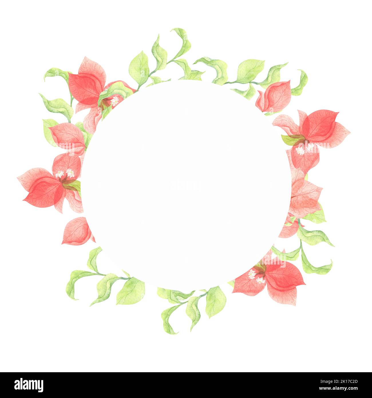 Cadre rond avec fleurs de bougainvilliers rouges. Illustration florale aquarelle isolée sur fond blanc. Dessin pour l'impression de cartes postales, invitations, Banque D'Images