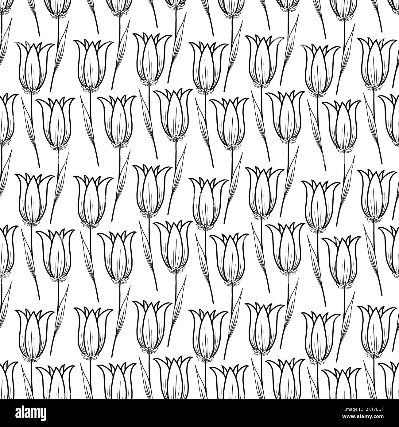 Tulipes à motif floral sur fond blanc. Illustration graphique en noir et blanc. Simple mise en plan d'une ligne. Banque D'Images