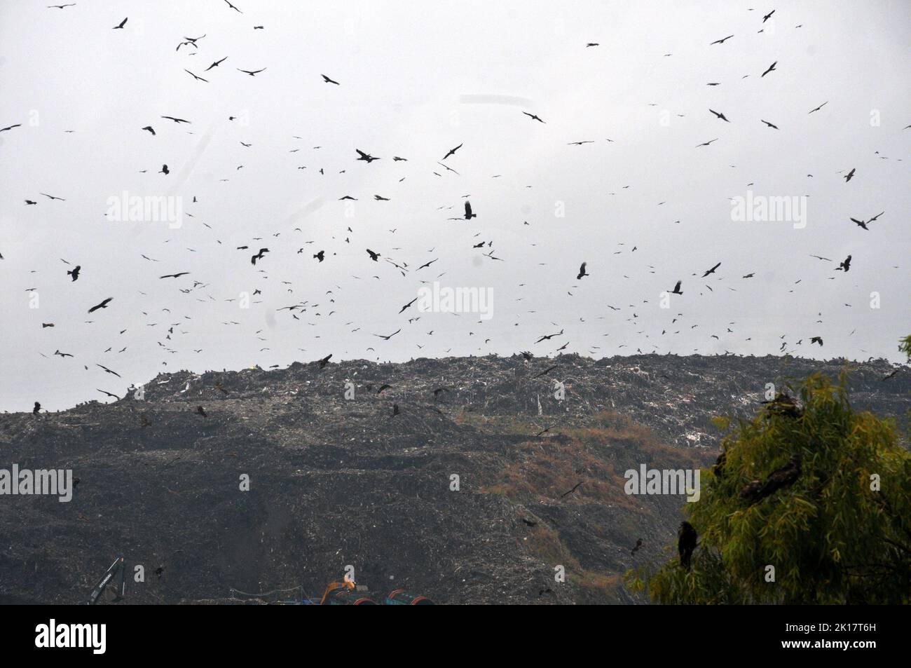 New Delhi, Inde. 16th septembre 2022. 16 septembre 2022, New Delhi, Delhi, Inde: La montagne de Ghazipur décharge de la maison Landfill dans l'est de Delhi et les aigles survolant pour manger, temps pluvieux pendant le nuage de brume sur ghazipur, à l'est de Delhi le vendredi (image de crédit: © Ravi Batra/ZUMA Press Wire) crédit: ZUMA Press, Inc./Alamy Live News Banque D'Images