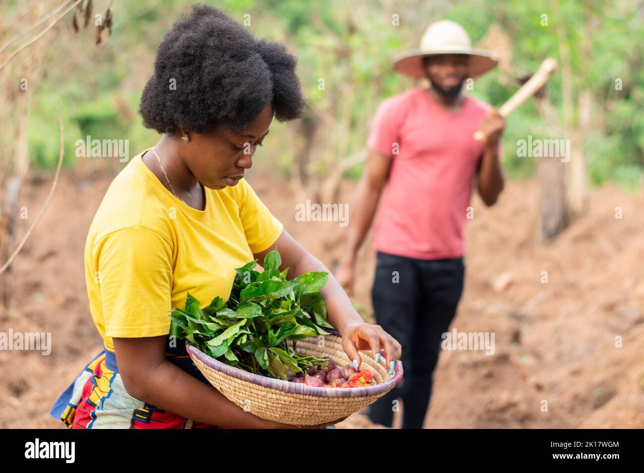 les agriculteurs africains dans une ferme qui fonctionne Banque D'Images