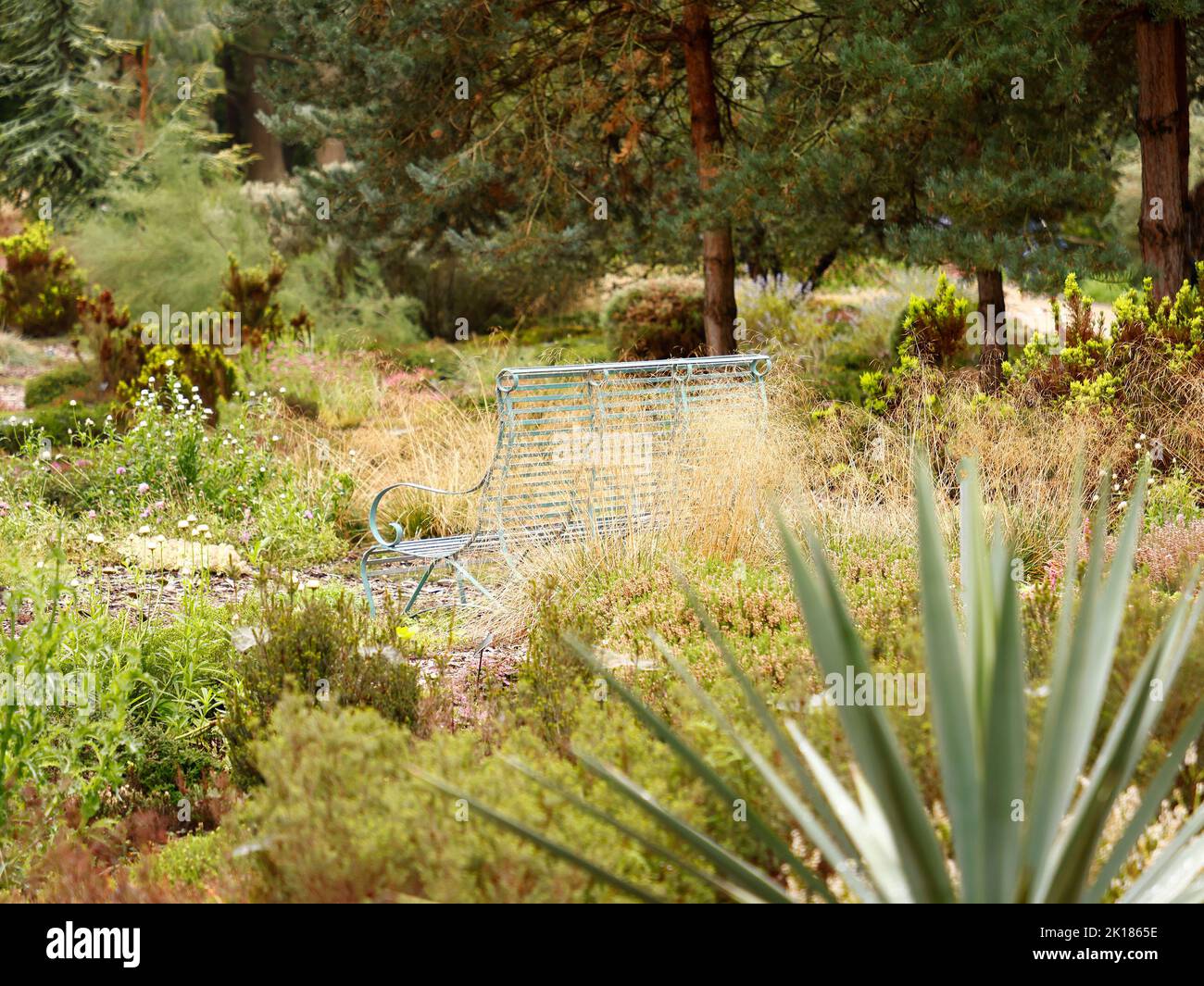 Siège de jardin vu dans un cadre paisible de jardin au Royaume-Uni à la fin de l'été. Banque D'Images