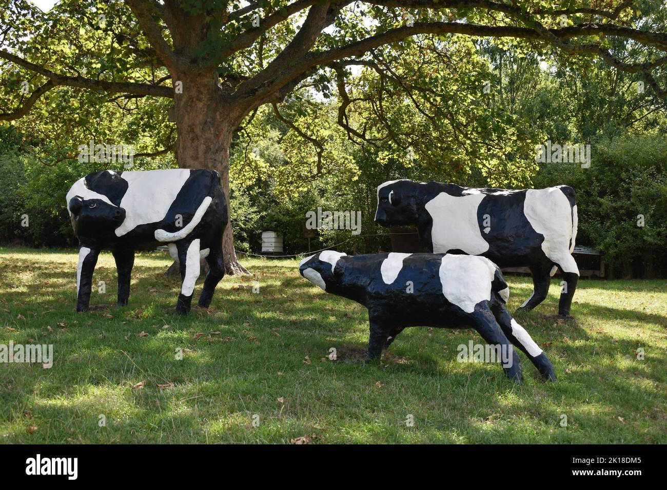 Les vaches en béton de Liz Leyh au musée Milton Keynes à Wolverton. Ce sont les vaches originales. Il y a aussi une réplique à Bancroft. Banque D'Images