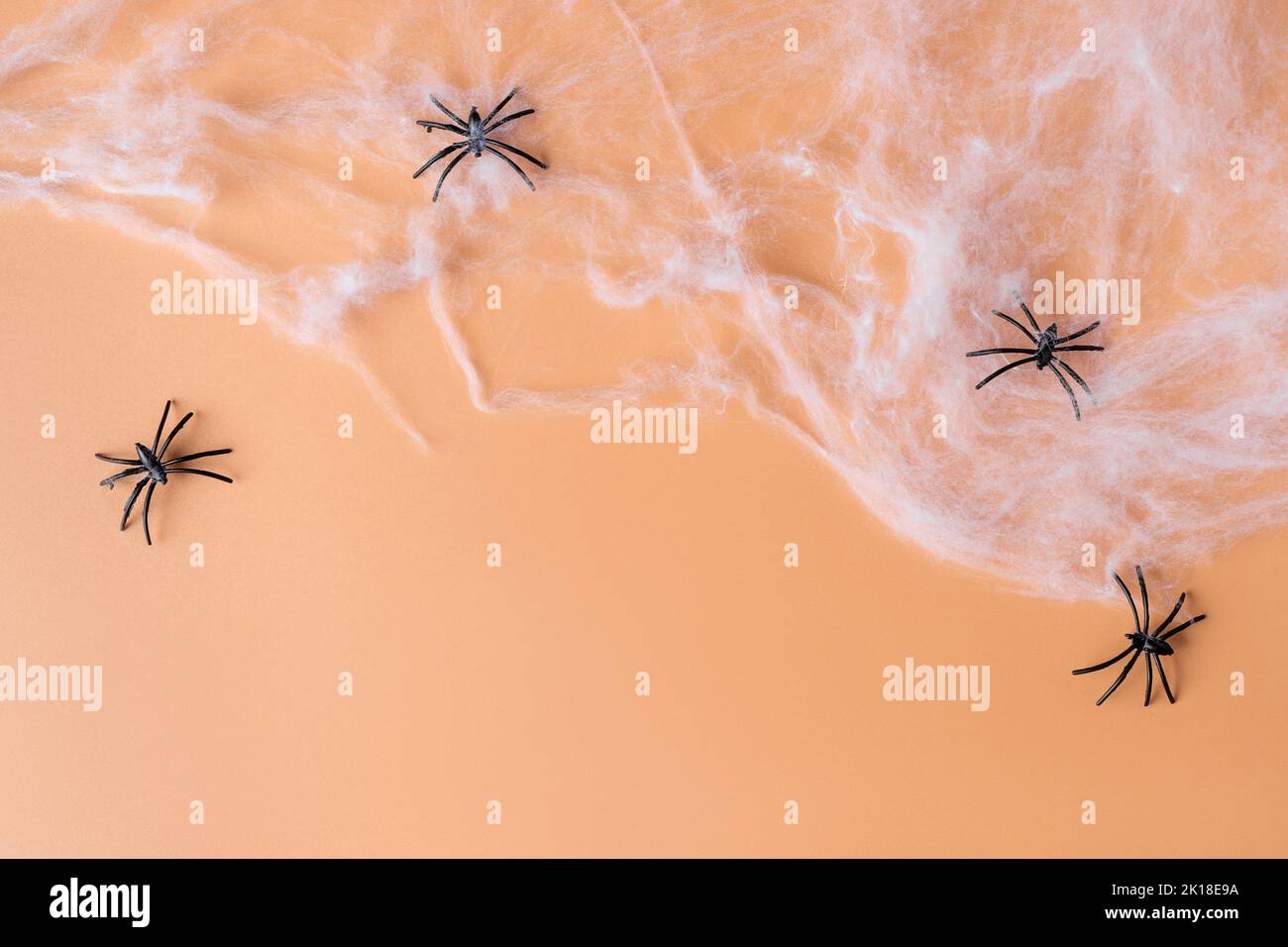 Arrière-plan effrayant d'Halloween avec toile d'araignée et araignées Banque D'Images