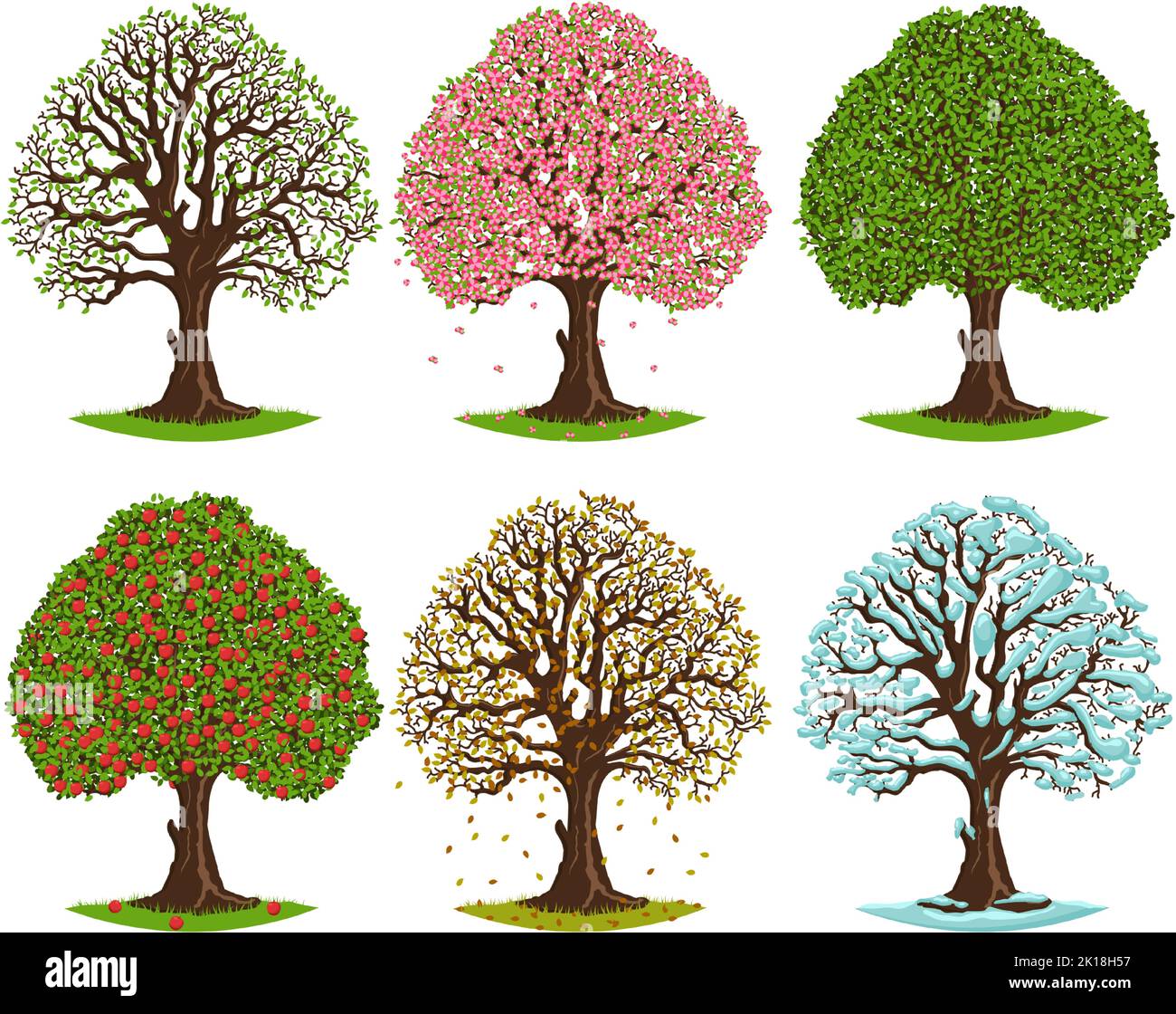 Arbre en différentes saisons. Fleurs printanières, vert d'été, feuilles automnales et arbres saisonniers d'hiver ensemble d'illustrations vectorielles Illustration de Vecteur