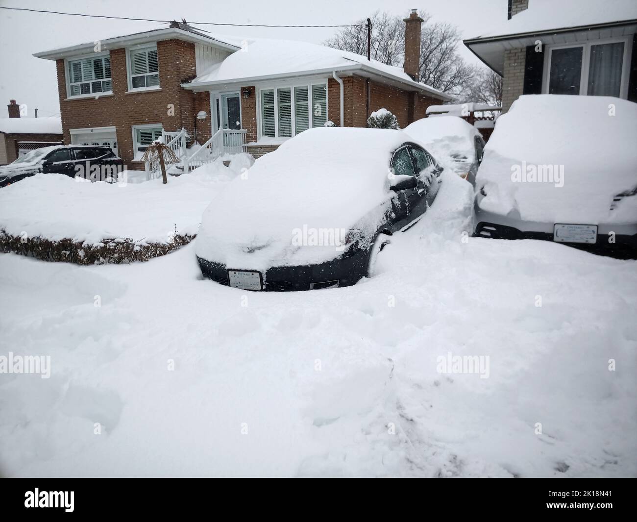 Voitures et maisons couvertes de neige après une tempête de neige hivernale, Toronto, Canada Banque D'Images