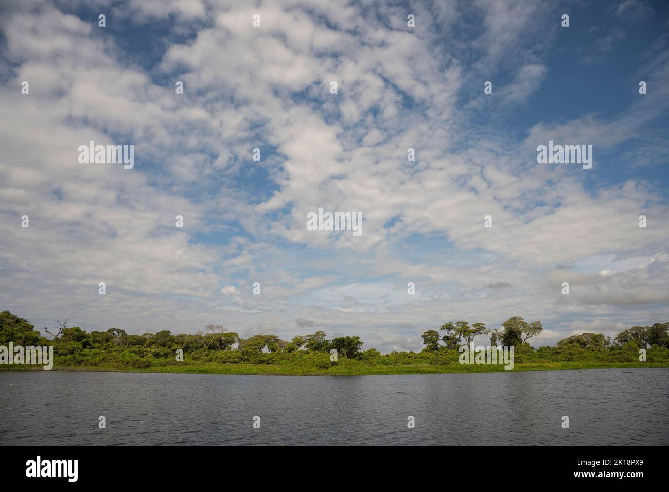 Le fleuve Paraguay près de Baiazinha Lodge situé dans le nord du Pantanal, État de Mato Grosso, Brésil. Banque D'Images