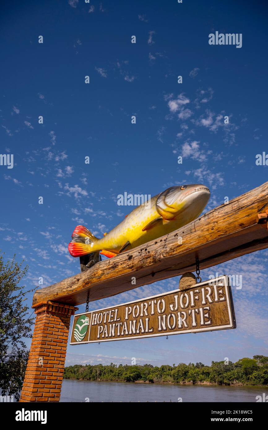 Un poisson géant au sommet de la porte de la jetée de l'hôtel Pantanal Norte sur la rivière Cuiaba à Porto Jofre dans le nord du Pantanal, Mato Grosso prov Banque D'Images