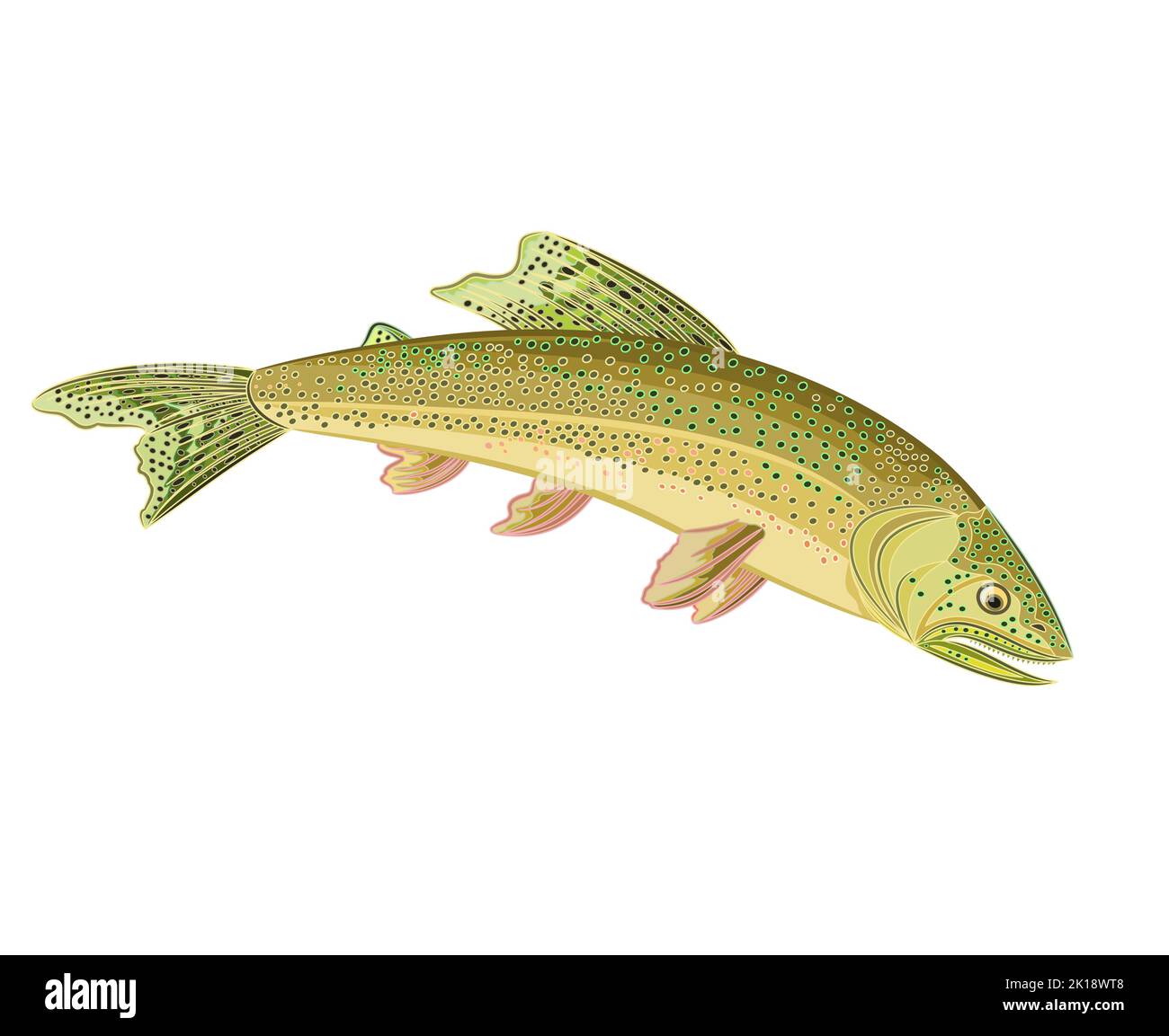 Le poisson prédateur du saumon du ruisseau américain est un vecteur de 8 Illustration de Vecteur
