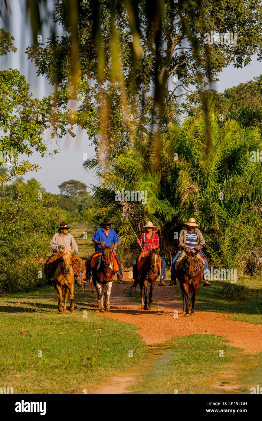 Pantaneiros (cow-boys locaux) à cheval près de l'Aguape Lodge dans le sud du Pantanal, Mato Grosso do Sul, Brésil. Banque D'Images