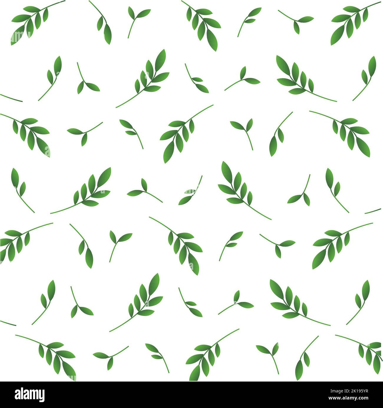 pattern of the delicate twigs Banque D'Images