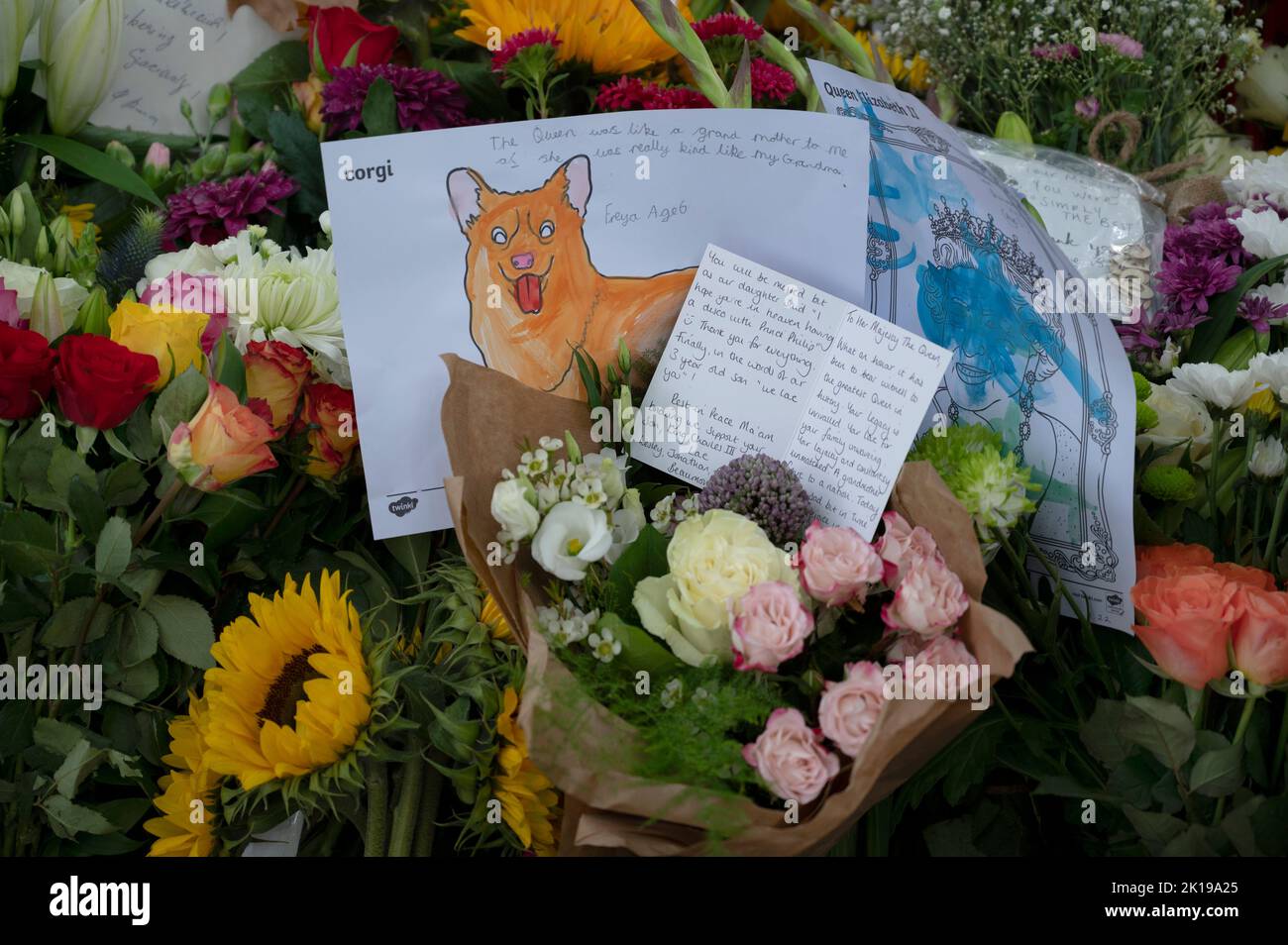 À 14 septembre, cinq jours après la mort de la reine Élisabeth 11, les gens continuent de laisser des hommages floraux à Green Park, Londres, Angleterre. Banque D'Images
