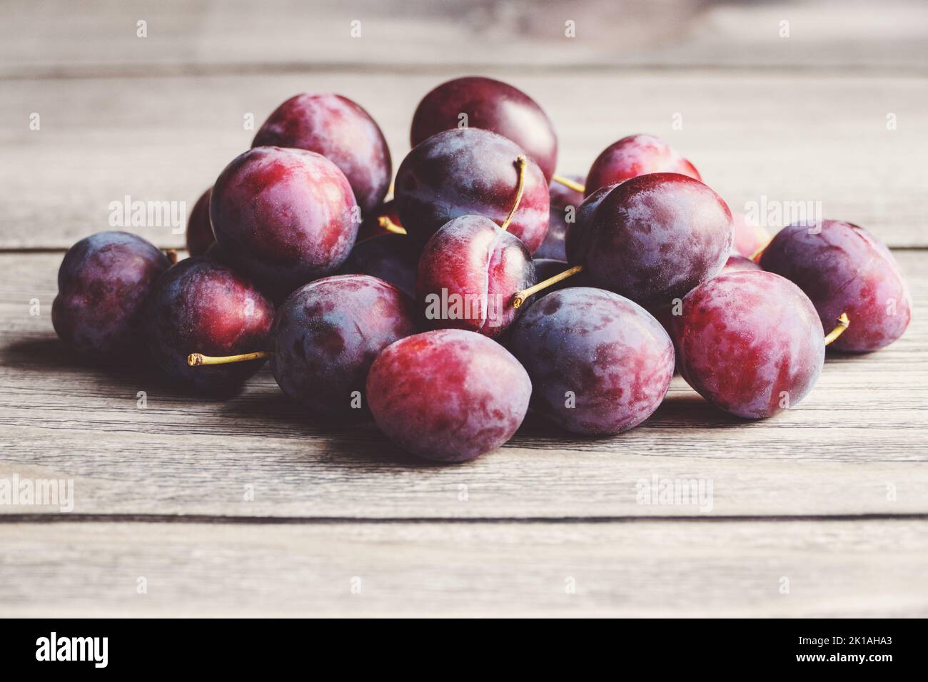 Prunes dans un tas sur une table en bois, cueillies prune fruits en automne, espace de copie Banque D'Images