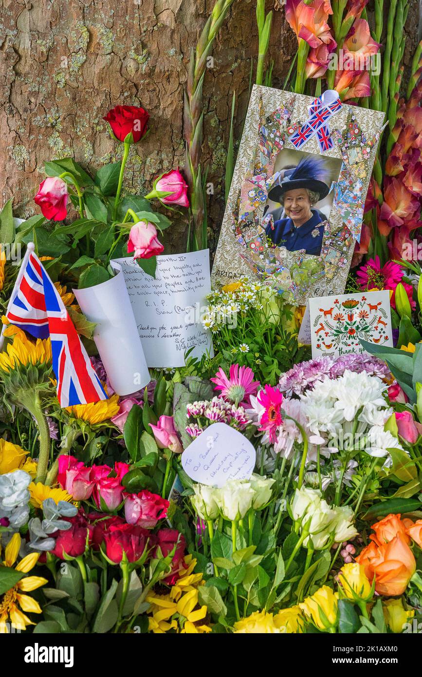 Hommages floraux à la reine Elizabeth II à Green Park Londres Banque D'Images
