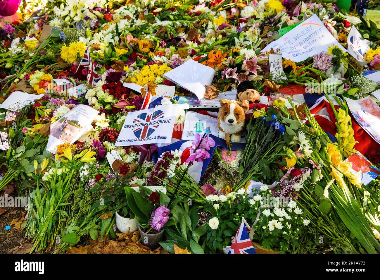 Hommages floraux à la reine Elizabeth II à Green Park Londres Banque D'Images