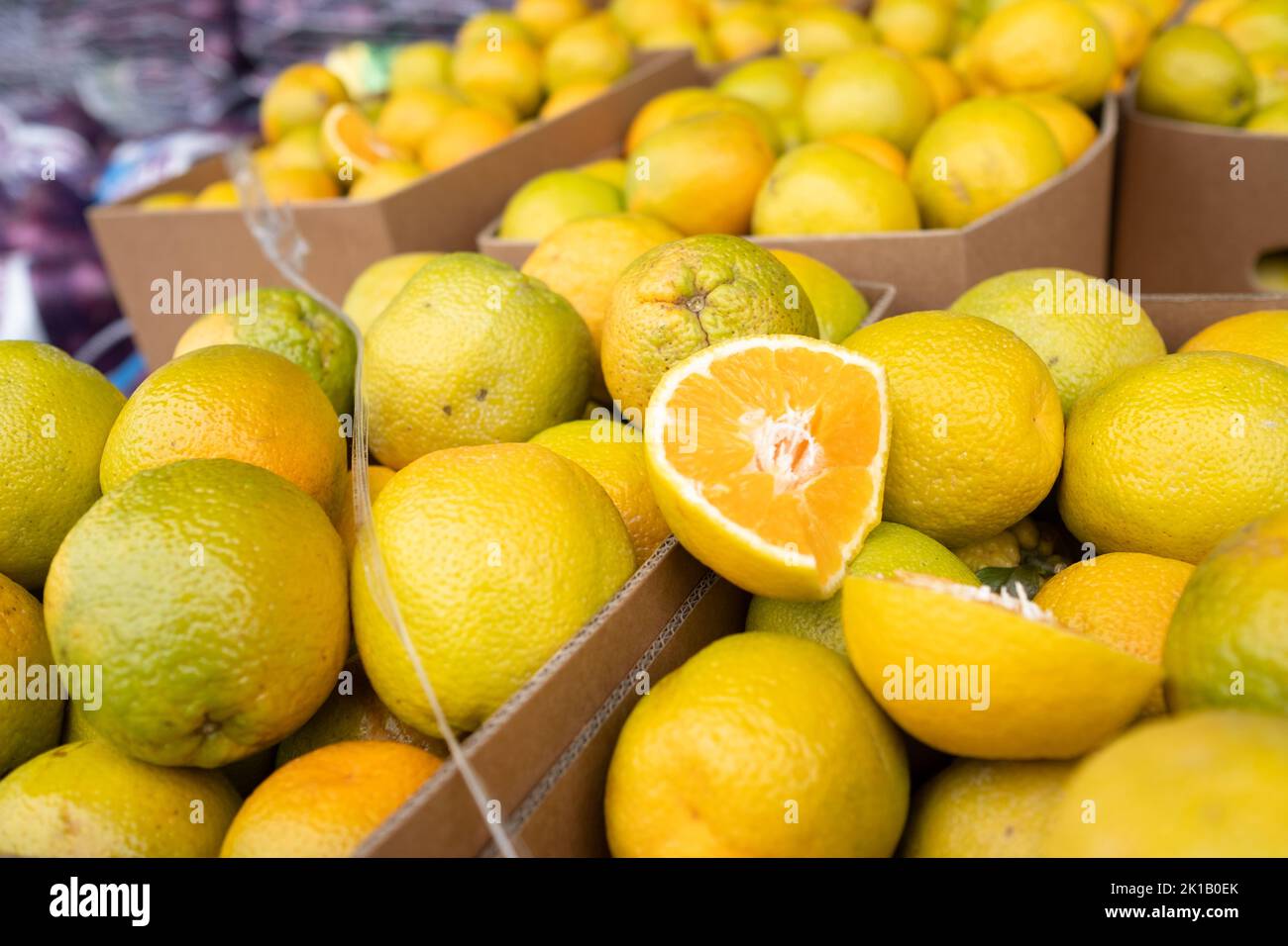 Boîtes d’oranges en vente au marché de l’alimentation fraîche de Paddy à Flemington, Sydney — Nouvelle-Galles du Sud, Australie Banque D'Images