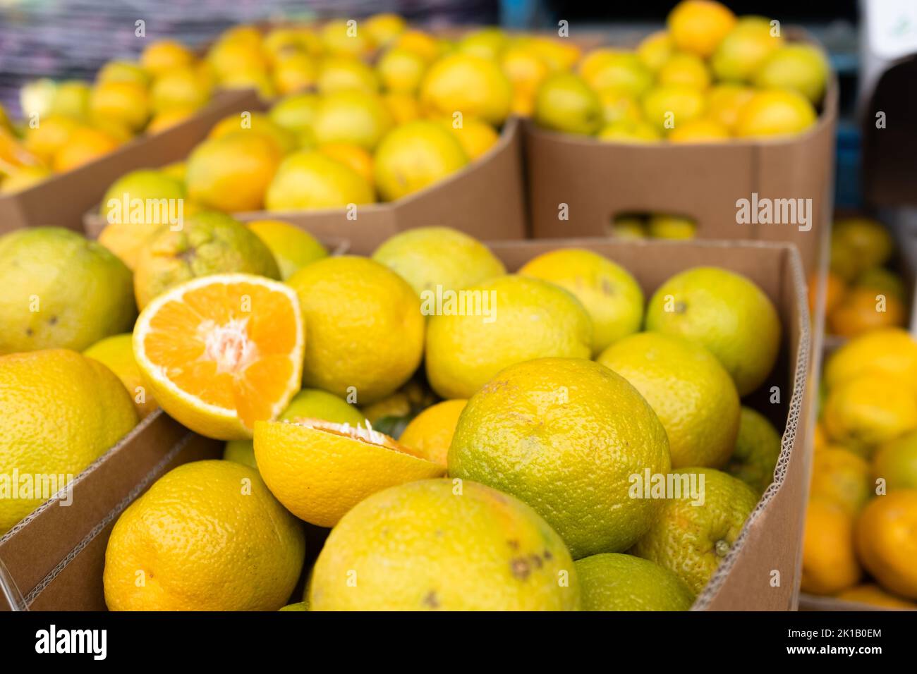 Boîtes d’oranges en vente au marché de l’alimentation fraîche de Paddy à Flemington, Sydney — Nouvelle-Galles du Sud, Australie Banque D'Images