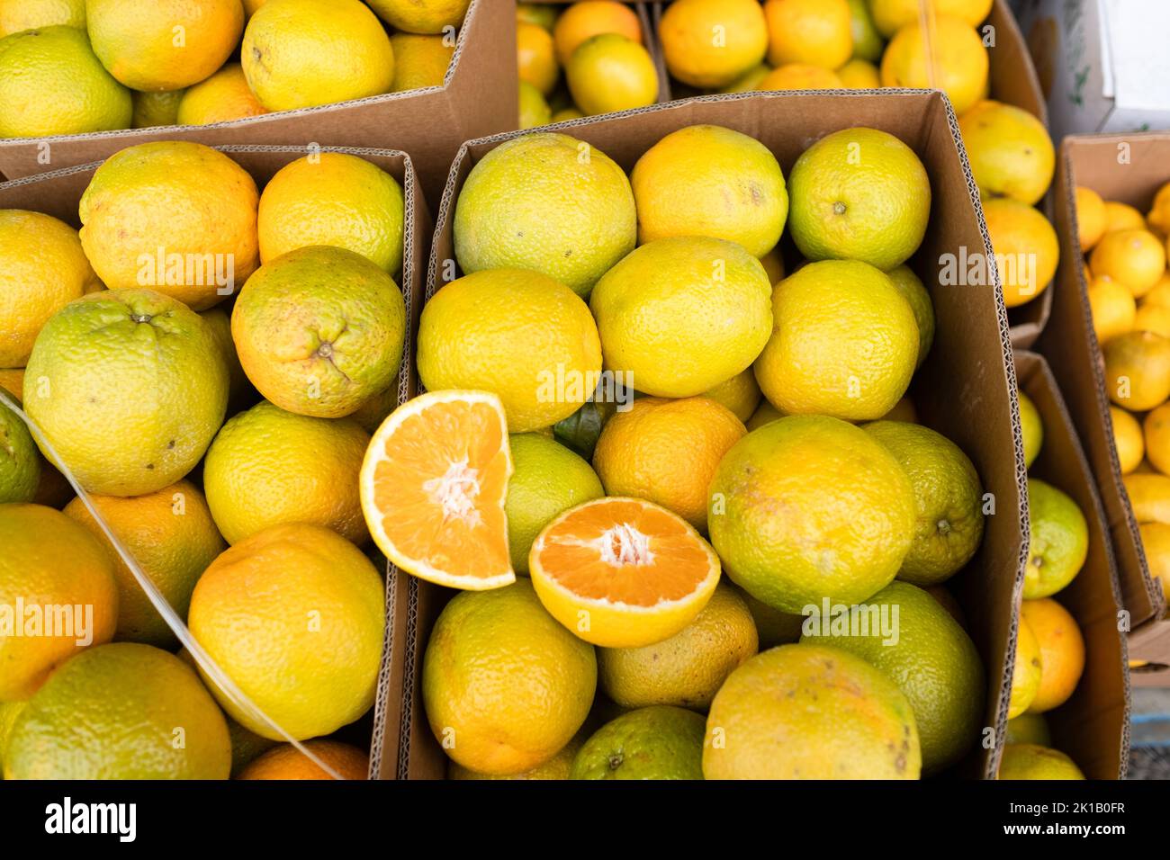 Boîtes d’oranges en vente au marché de l’alimentation fraîche de Paddy à Flemington, Sydney — Nouvelle-Galles du Sud, Australie Banque D'Images