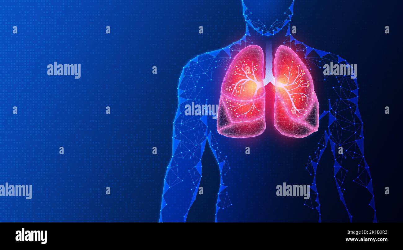 Génie tissulaire pulmonaire en médecine régénératrice et pneumologie - développement de dispositifs de remplacement pulmonaire et de tissus pour traiter les patients atteints de dise pulmonaire Banque D'Images