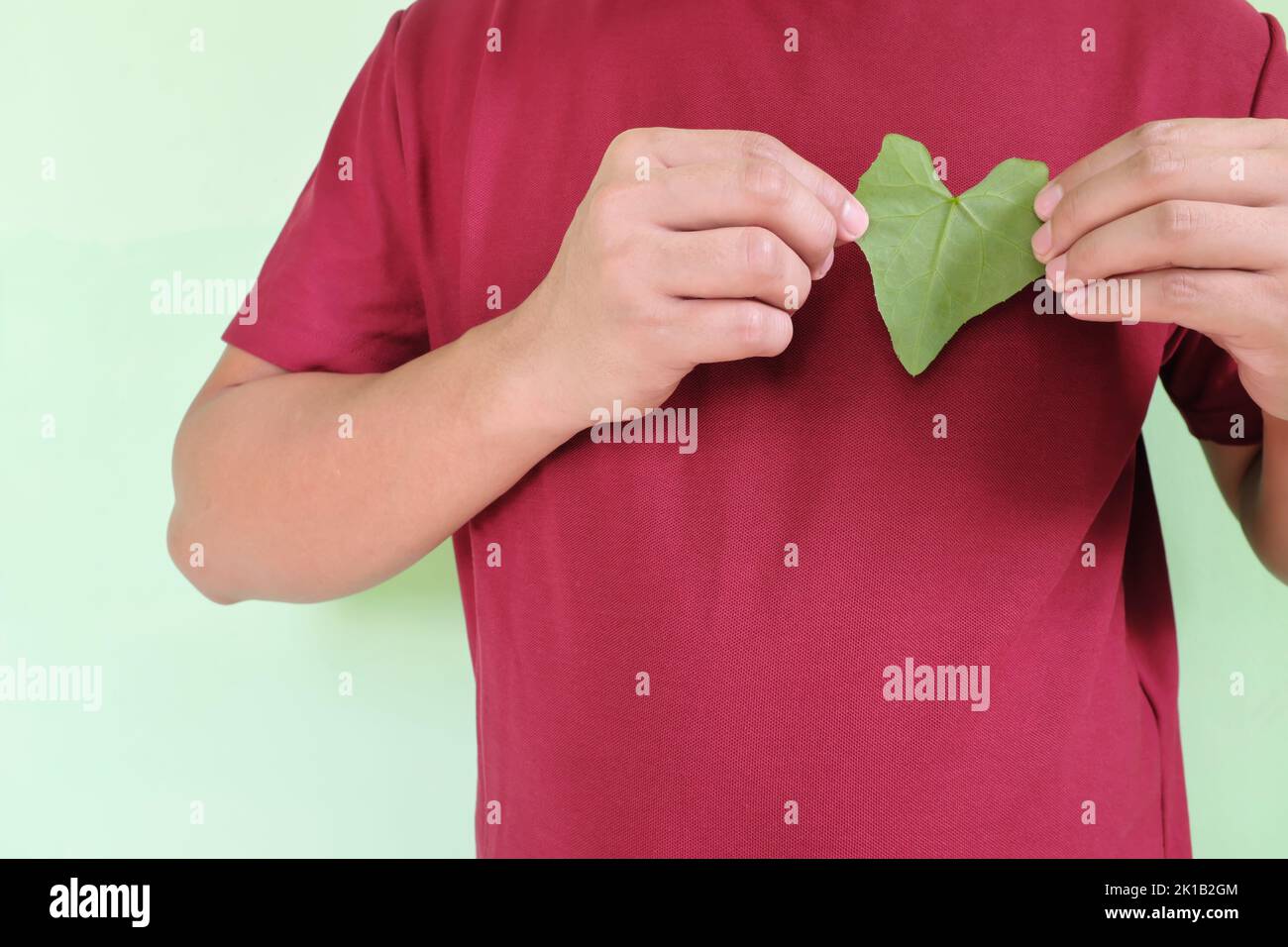 Cœur sain et amour pour la nature et volontaire pour le concept de l'environnement. Jeunes hommes asiatiques mains tenant une feuille en forme de coeur vert sur la partie supérieure gauche de la poitrine Banque D'Images