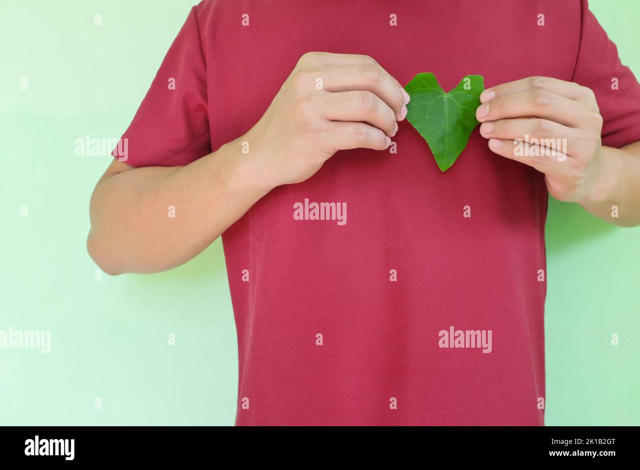 Cœur sain et amour pour la nature et volontaire pour le concept de l'environnement. Jeunes hommes asiatiques mains tenant une feuille en forme de coeur vert sur la partie supérieure gauche de la poitrine Banque D'Images