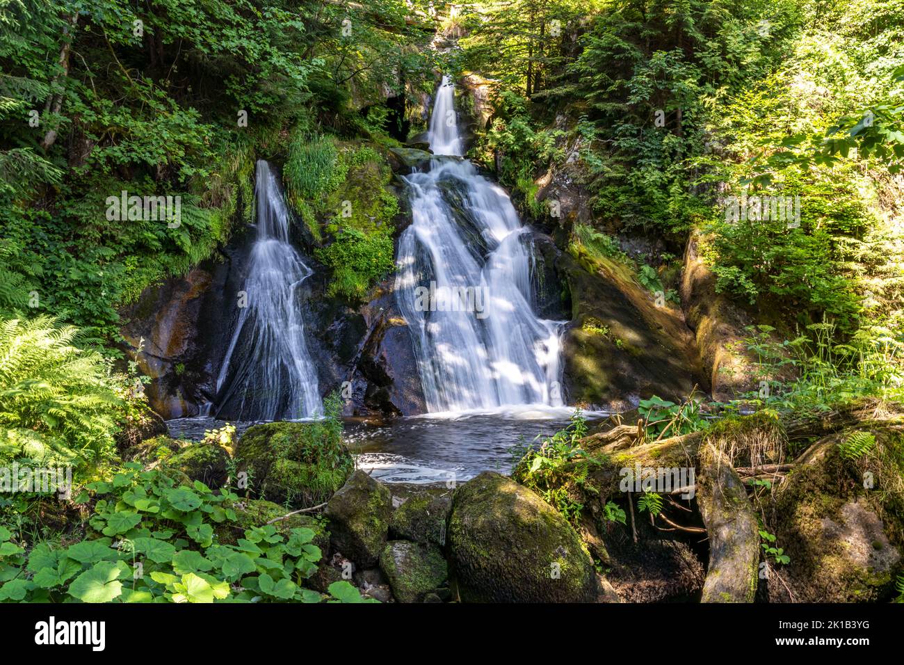 Die Triberger Wasserfälle, Triberg im Schwarzwald, Bade-Wurtemberg, Allemagne | les cascades de Triberg, Triberg im Schwarzwald, Forêt Noire, Bad Banque D'Images