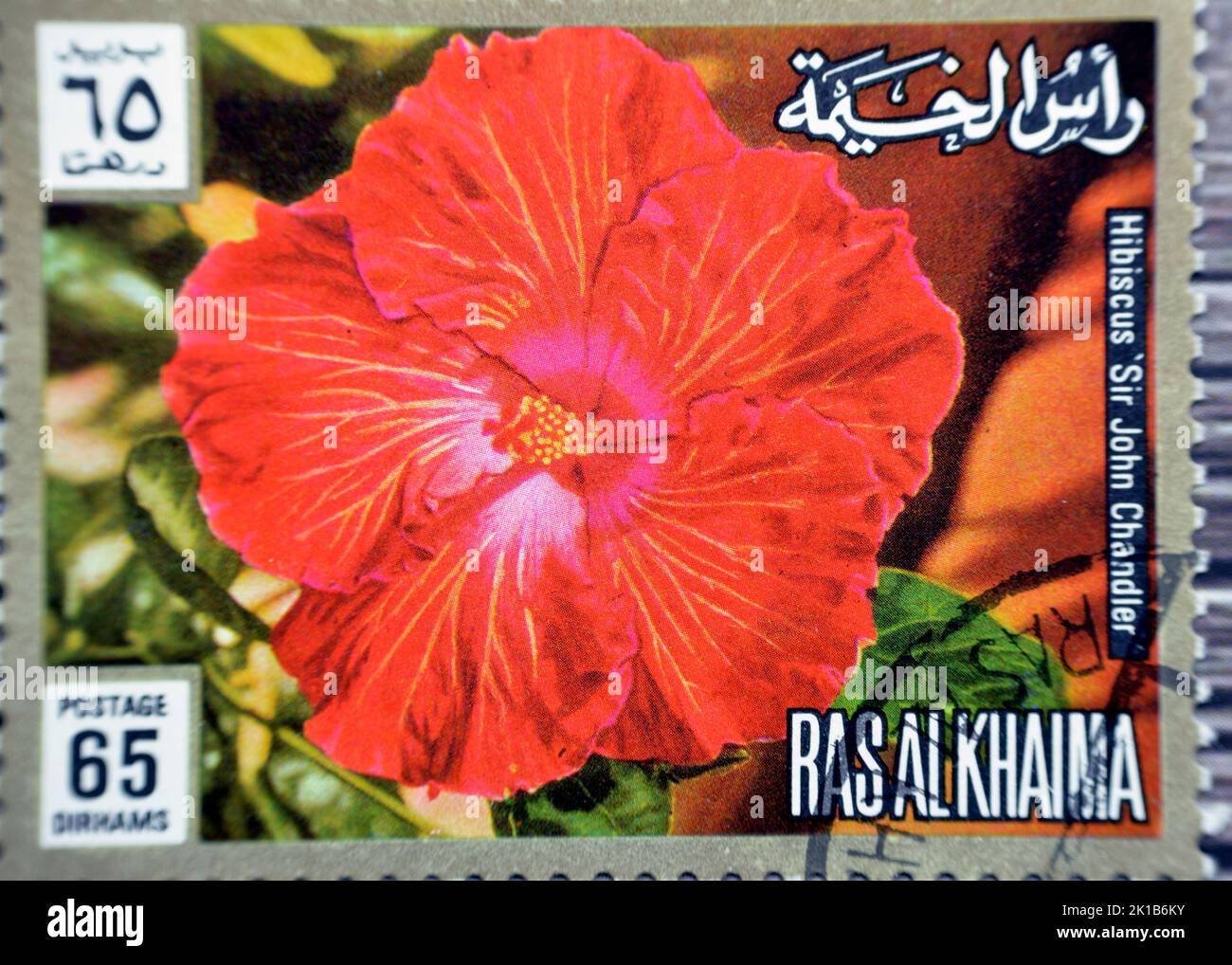 Le Caire, Egypte, 15 août 2022: Ancien timbre-poste utilisé des Émirats arabes Unis comprend une fleur d'hibiscus rouge 65 Dirhams de Ras Al Khaima eau, sélectif Banque D'Images
