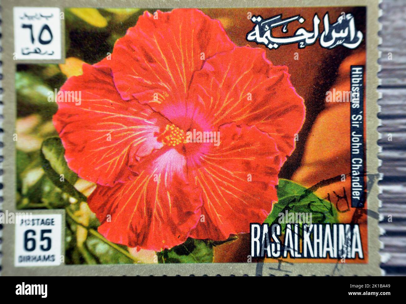 Le Caire, Egypte, 15 août 2022: Ancien timbre-poste utilisé des Émirats arabes Unis comprend une fleur d'hibiscus rouge 65 Dirhams de Ras Al Khaima eau, sélectif Banque D'Images