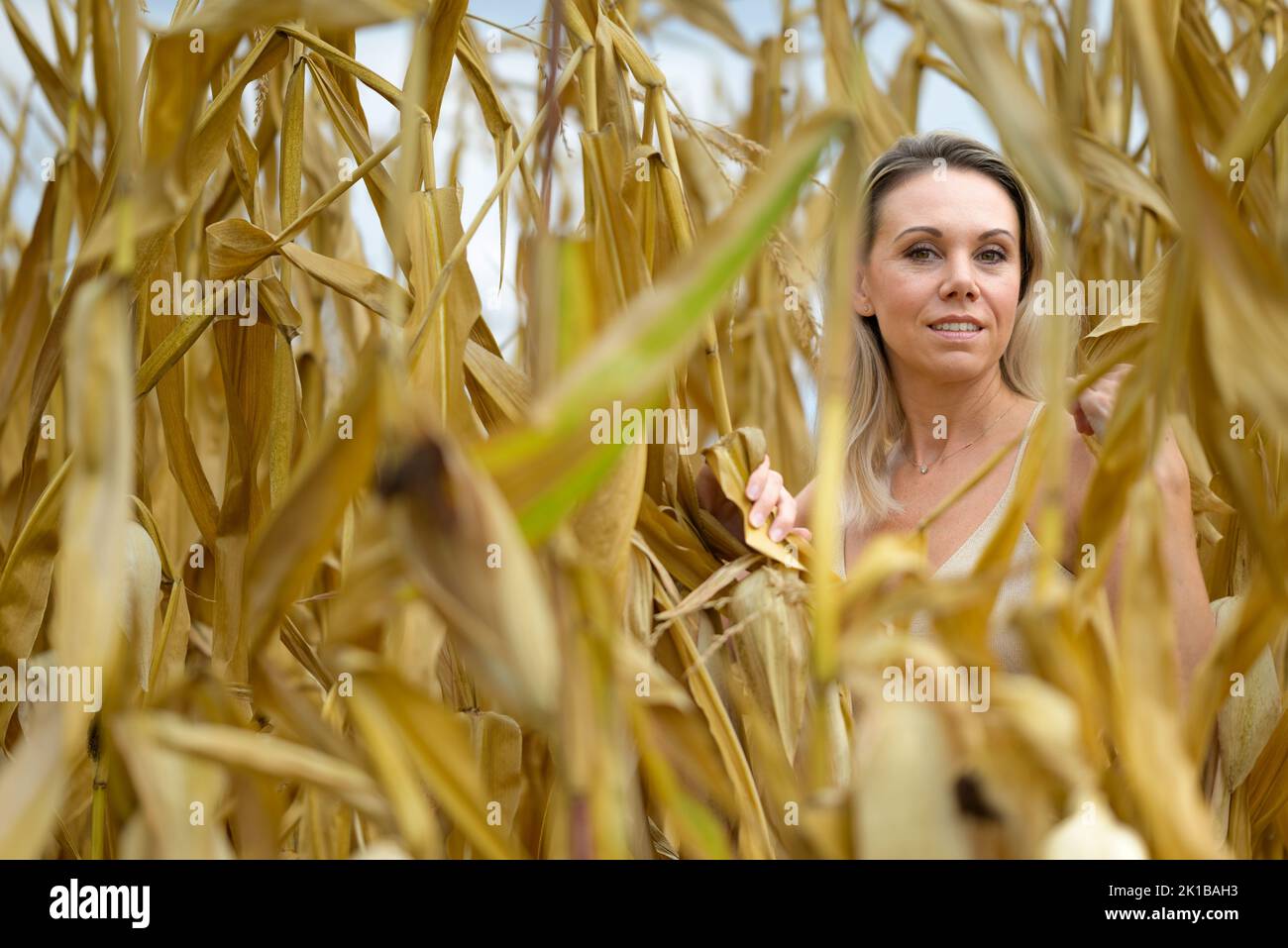Belle femme blonde portant une robe or est debout au milieu d'un champ de maïs avec un sourire doux à la caméra Banque D'Images