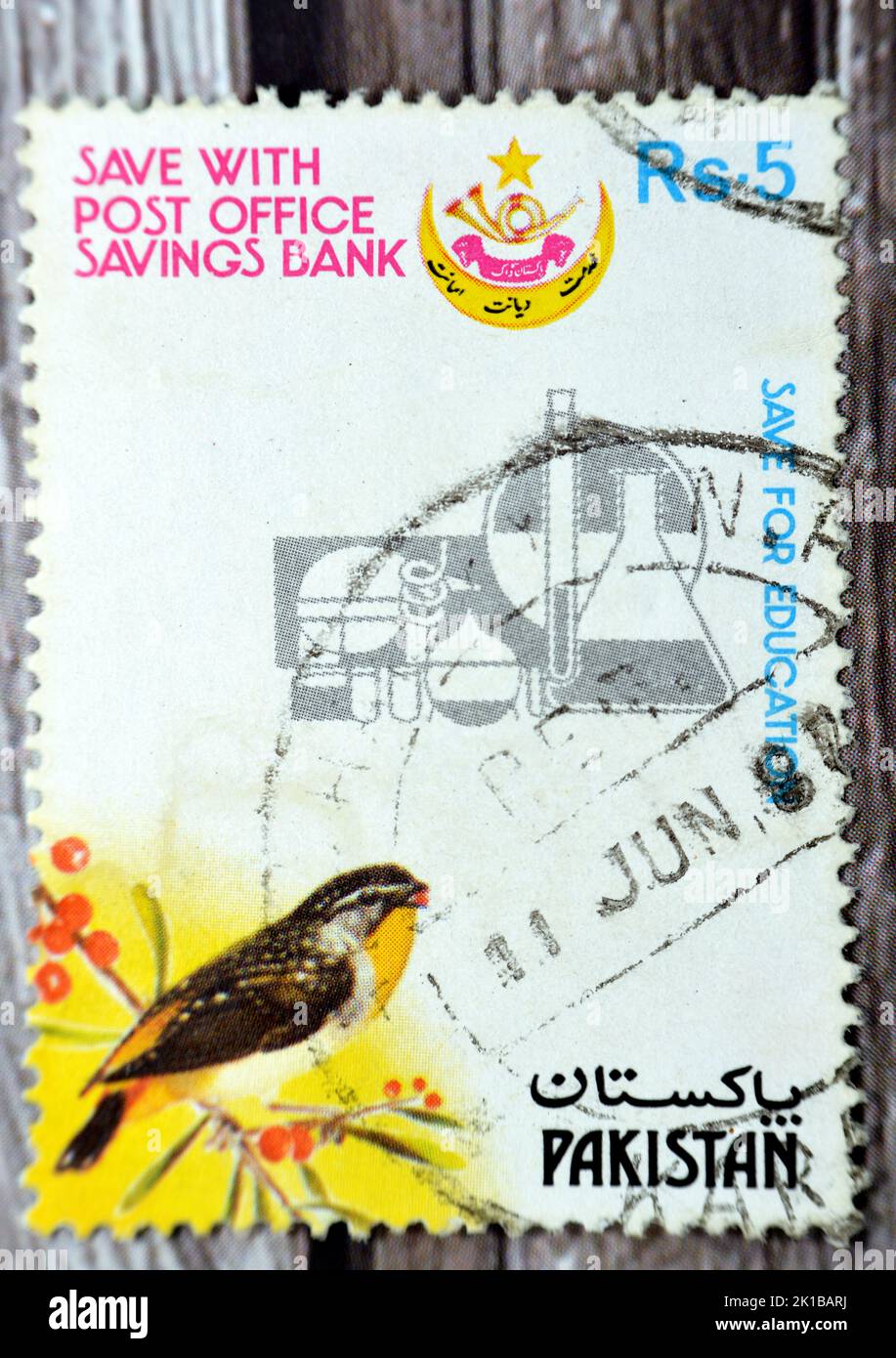 Le Caire, l'Egypte, 15 août 2022: Ancien timbre-poste utilisé imprimé au Pakistan présente un oiseau de Pardalote tacheté, à sauver pour l'éducation timbre vers 1987 Pakistan Banque D'Images