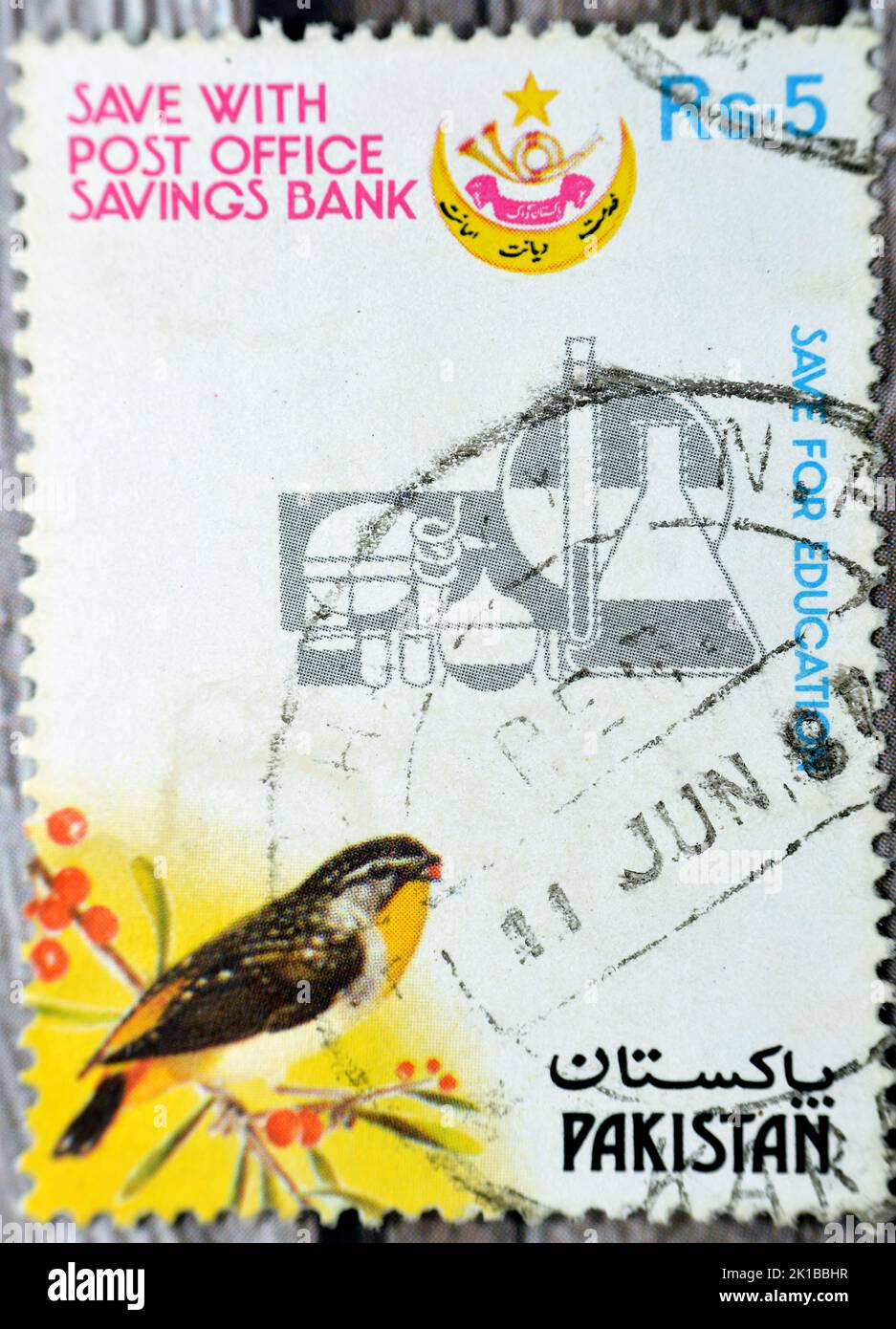 Le Caire, l'Egypte, 15 août 2022: Ancien timbre-poste utilisé imprimé au Pakistan présente un oiseau de Pardalote tacheté, à sauver pour l'éducation timbre vers 1987 Pakistan Banque D'Images