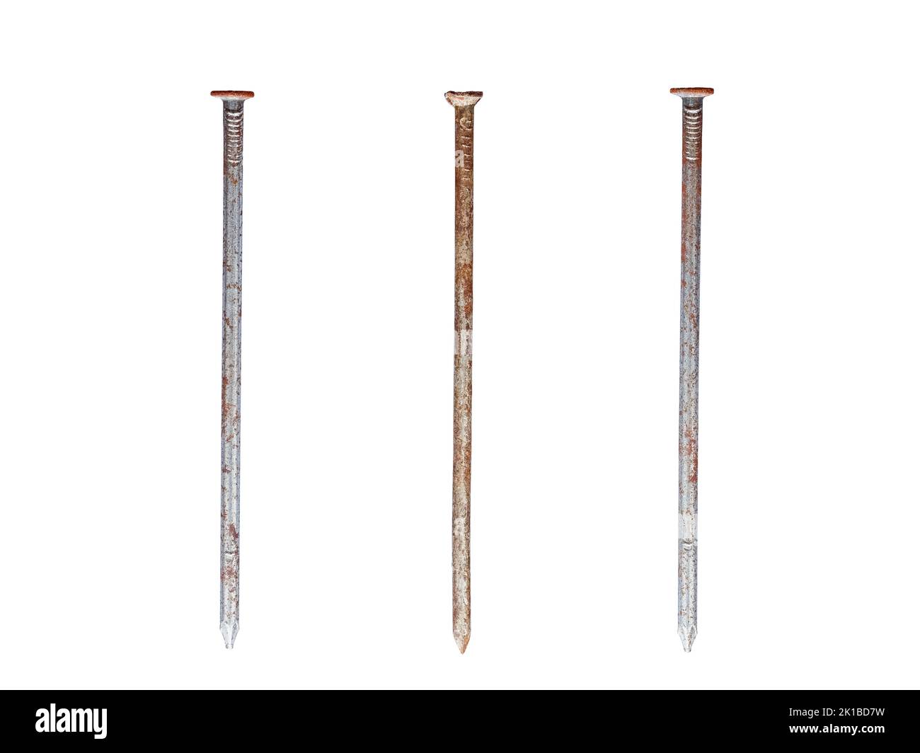 Trois vieux clous rouillés droits de longueur égale isolés sur fond blanc Banque D'Images