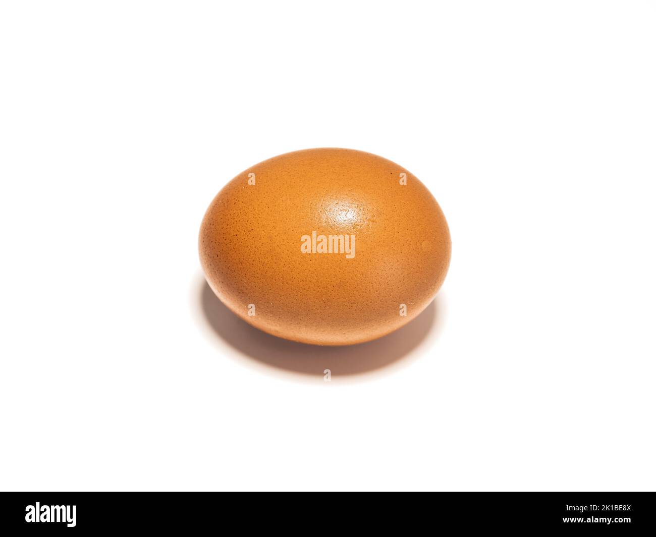 Œuf de poulet biologique sur fond blanc Banque D'Images