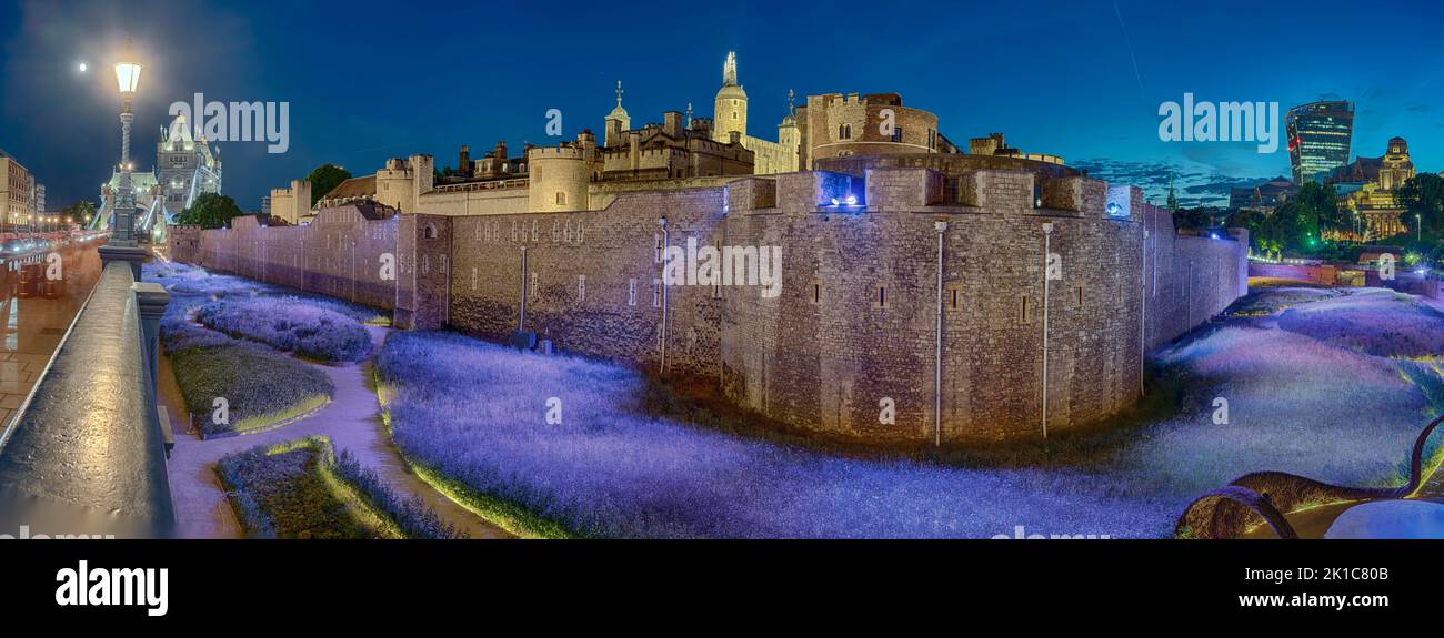 Tower Tower, Bridge Illumined Panorama Londres Angleterre, Grande-Bretagne Banque D'Images