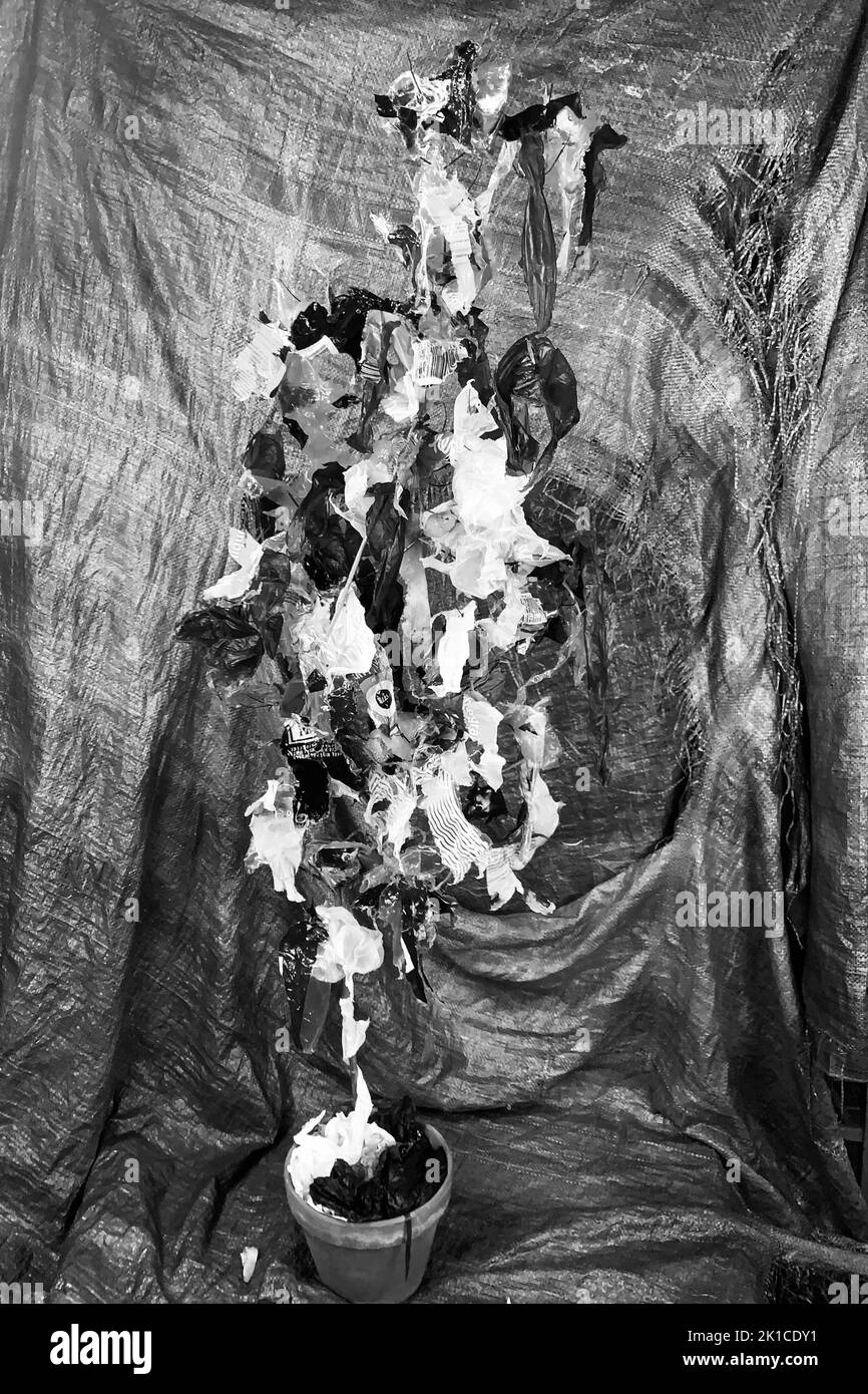 Arbre enveloppé de plastique, vue filtrée numériquement, studio de photographie conceptuel, Lyon, France Banque D'Images